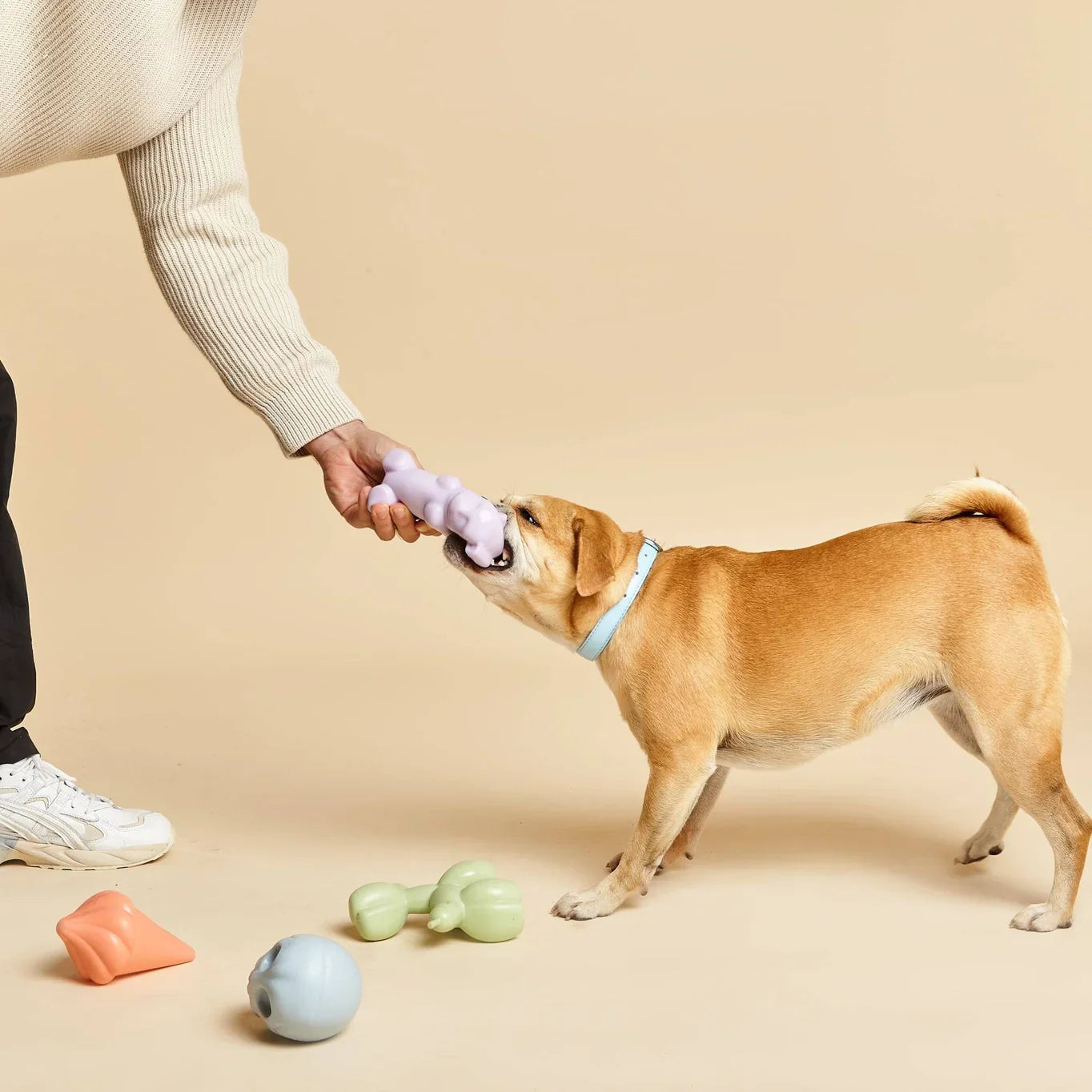 Gummy Squeaky Dog Toy